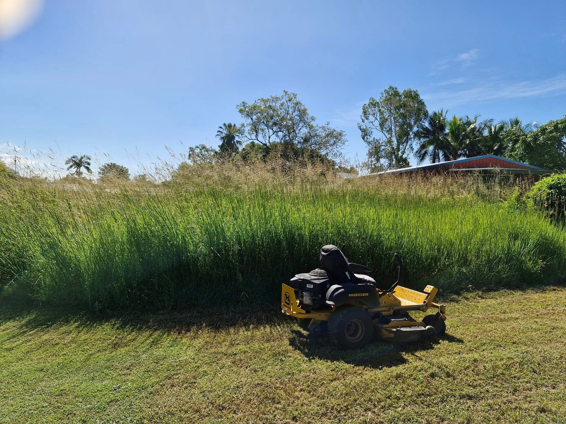 Before: long overgrown grass on a Townsville block with the mower part way through the first cut